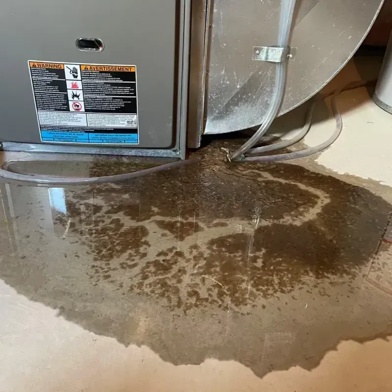 Appliance Leak Cleanup in Golden Meadow, LA